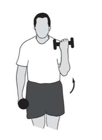 elbow flexion - shoulder recovery exercise